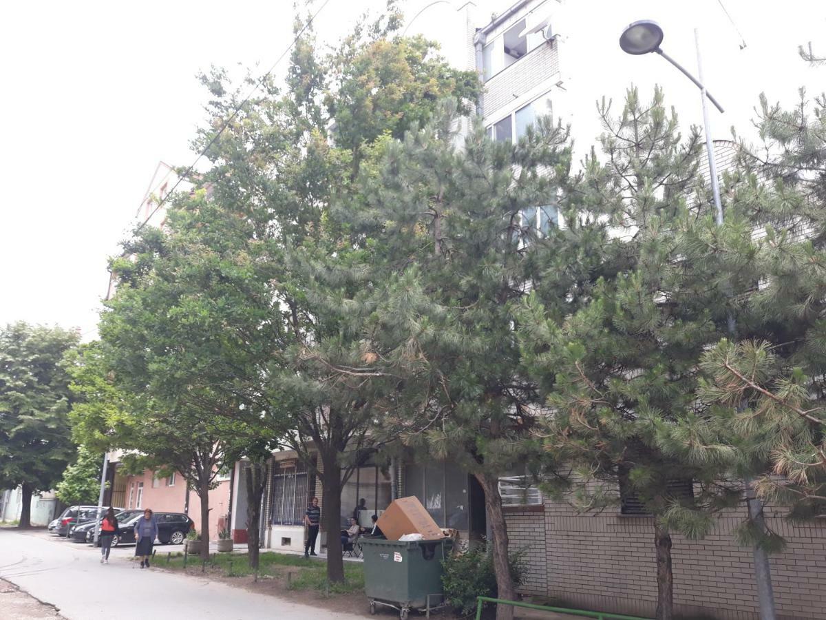 Hann Apartments Novi Sad Eksteriør billede