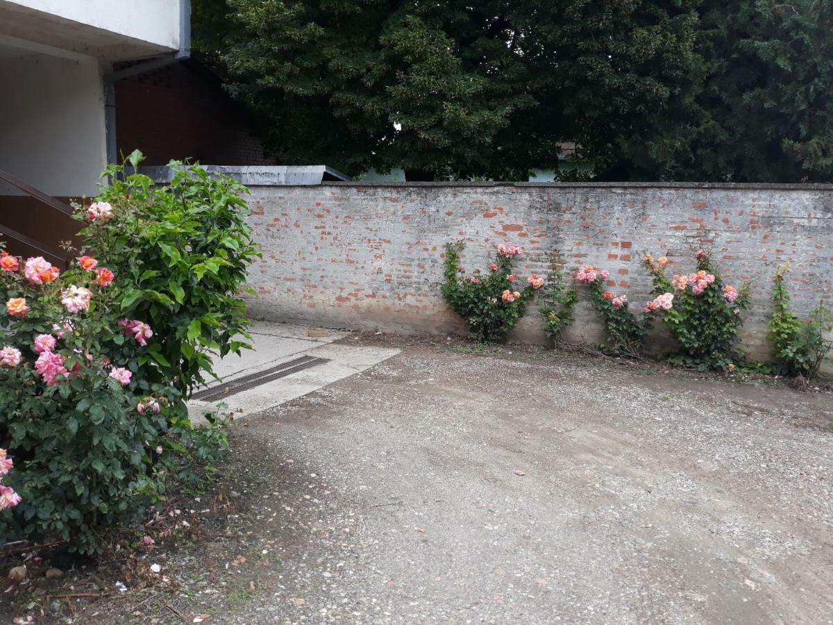 Hann Apartments Novi Sad Eksteriør billede